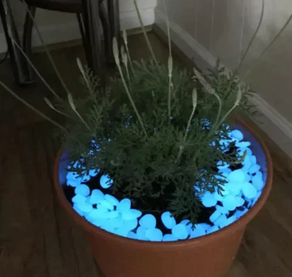 Pedras Mágicas para Jardim - Verse